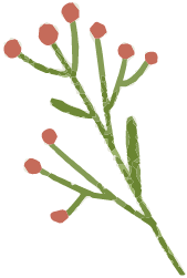 装飾花